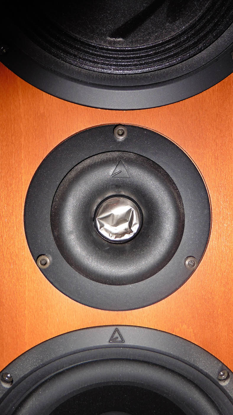 Rénovation d'enceintes Triangle ZAYS