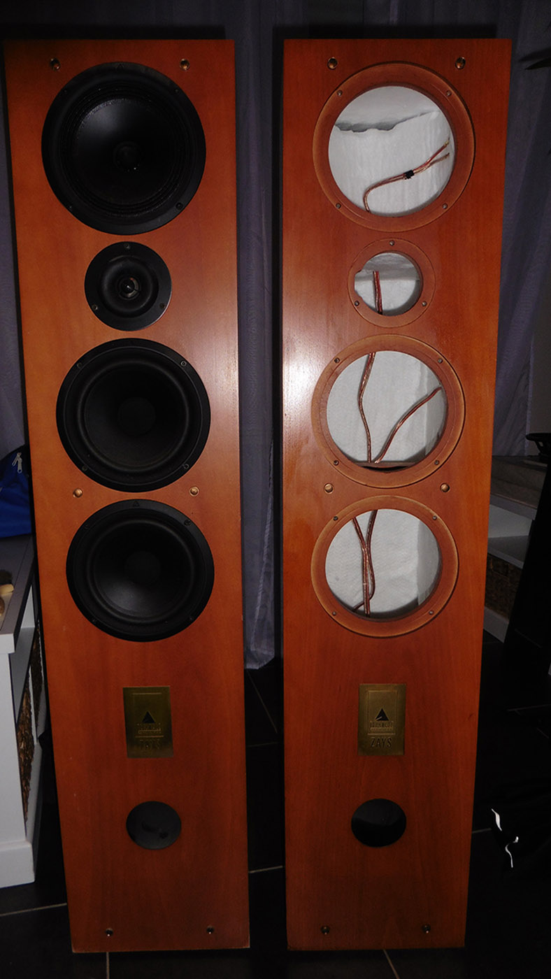 Rénovation d'enceintes Triangle ZAYS