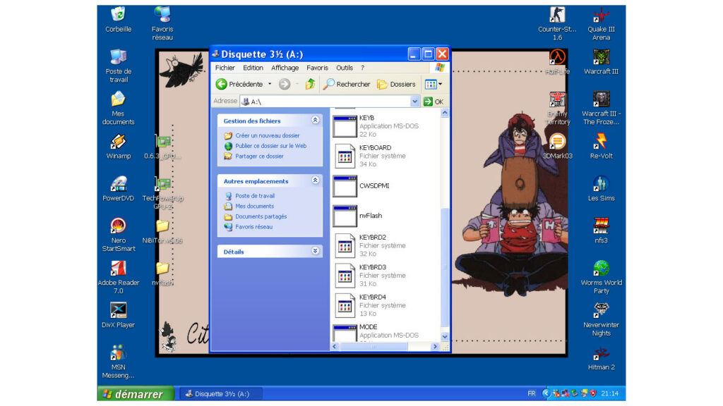 Bios carte graphique Geforce FX 5700LE